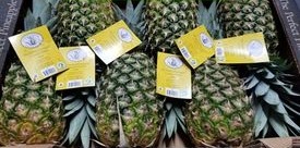 Pineapple