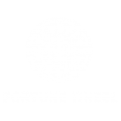 Fortune Wheel - Levittown logo