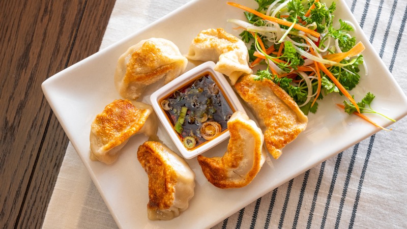 Fried Dumplings (6)