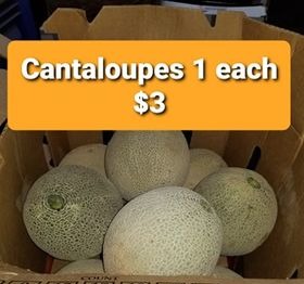 Cantaloupe
