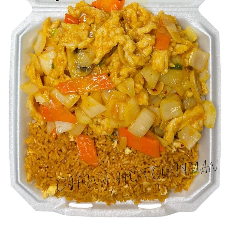 Big Plate Special Curry Chicken + Fried Rice