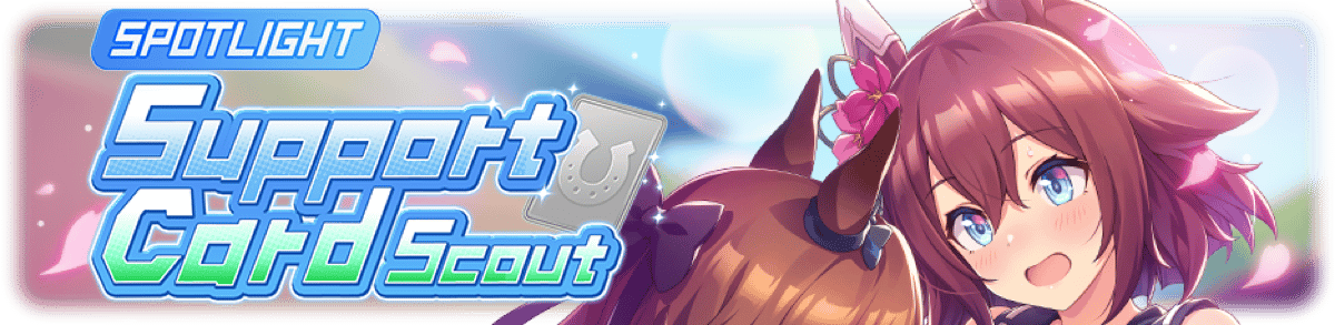 Spotlight Support Card Scout