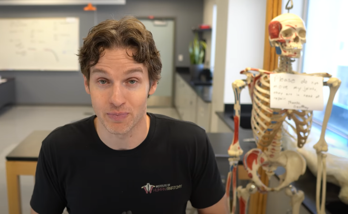 How A Female Erection Works