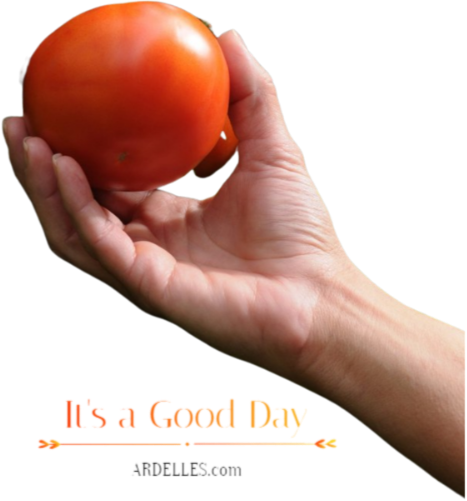 Is your garden thriving? Thank a breeder!