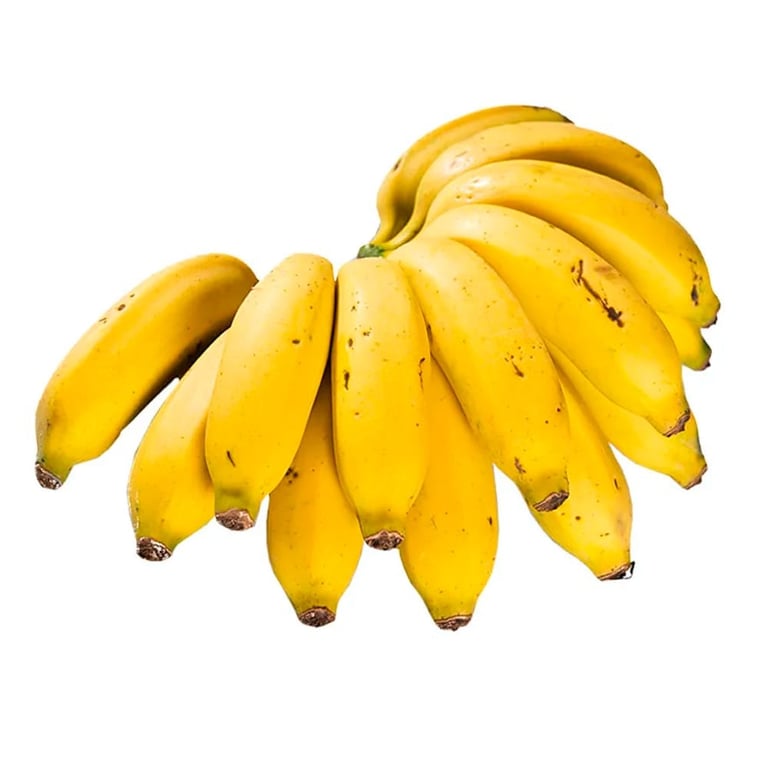 Tipos De Banana Os 6 Tipos De Banana Mais Cultivados No Brasil E No Mundo