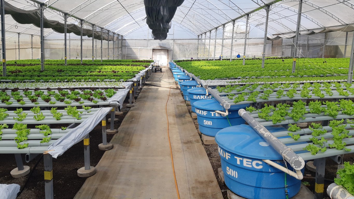 Sistema de bancadas individuais