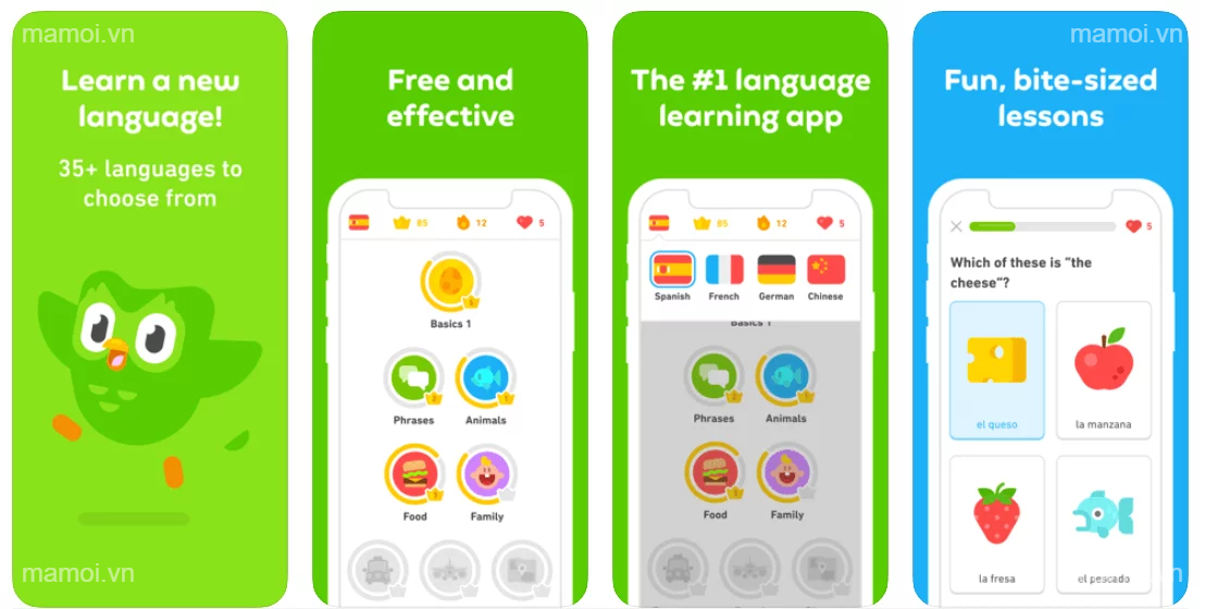 Language Learning