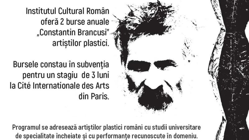 ICR a lansat apel de candidaturi pentru Bursele Brâncuşi