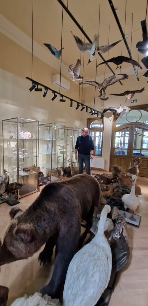 FOTO: Focșani. Muzeul de Științe ale Naturii și Acvariu va fi deschis în curând