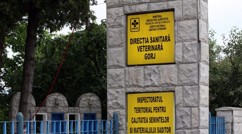 Șoferul unei autoutilitare a fost amendat cu 10.000 de lei de inspectorii sanitar veterinari