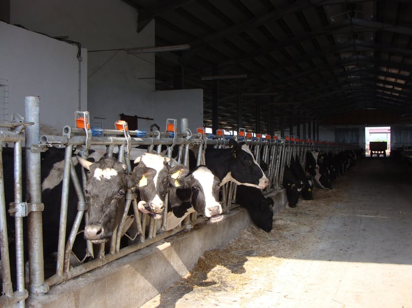 3 proiecte pentru ferme la Tismana, Crasna și Polovragi