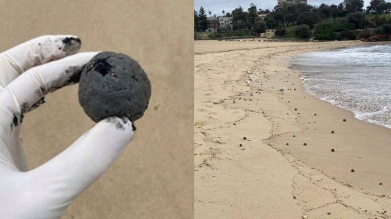 Una dintre cele mai cunoscute plaje, închisă de urgență, după ce sute de sfere negre ciudate au eșuat pe țărm
16/10/2024
88686