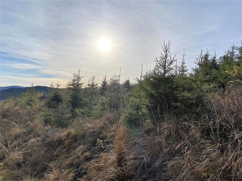 Meteo: când scăpăm de vremea de iarnă