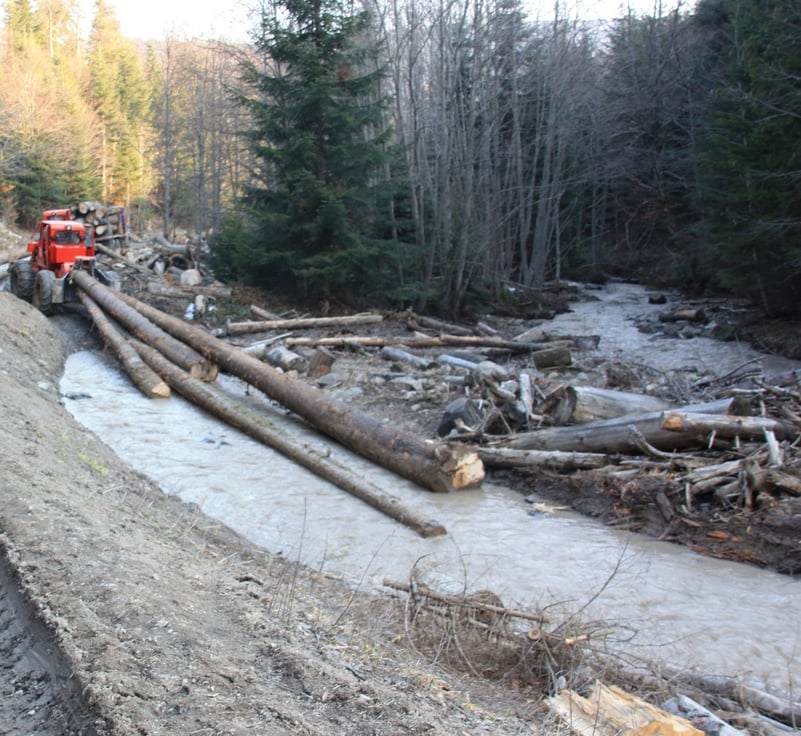 Bărbat decedat în pădure, după ce un copac a căzut peste el