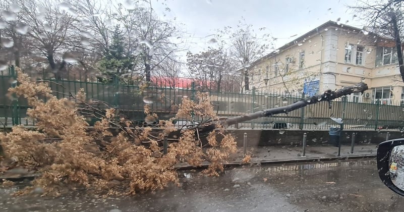Peste 100 de intervenții ISU în București și Ilfov din cauza vântului puternic. Mai multe mașini au fost avariate