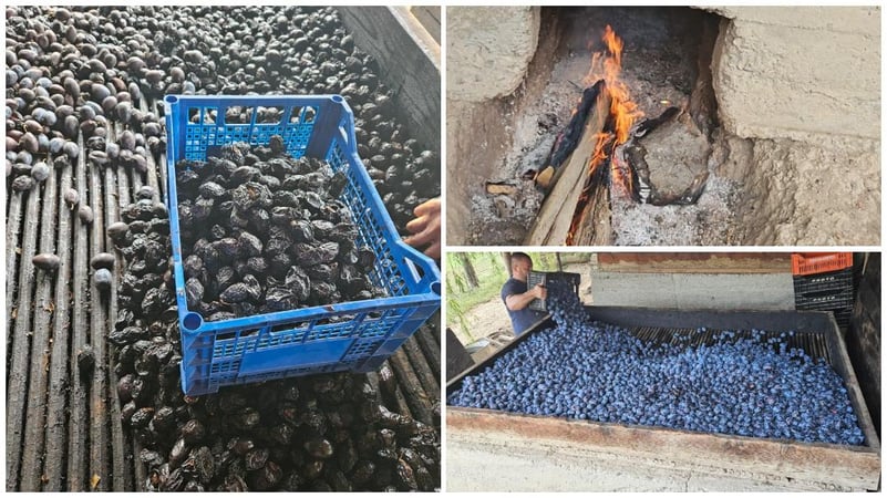 Prunele de Vrancea, uscate la lojniță, sunt expuse la Săptămâna Verde din Berlin