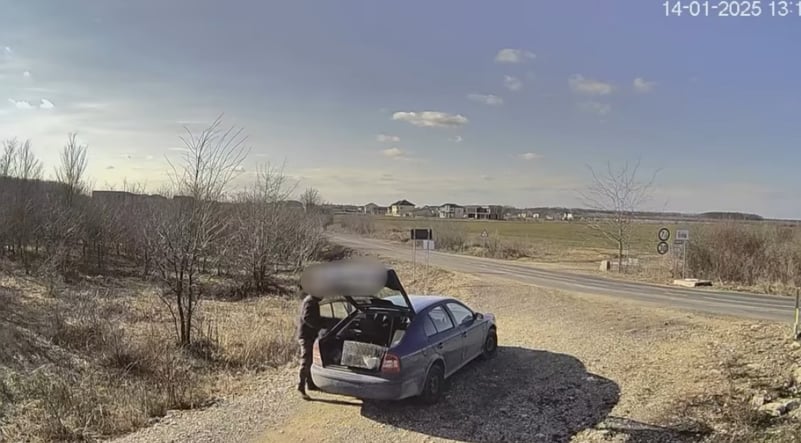Poliția din Dâmbovița a identificat și sancționar un bărbat pentru abandonarea unei pisici pe un drum