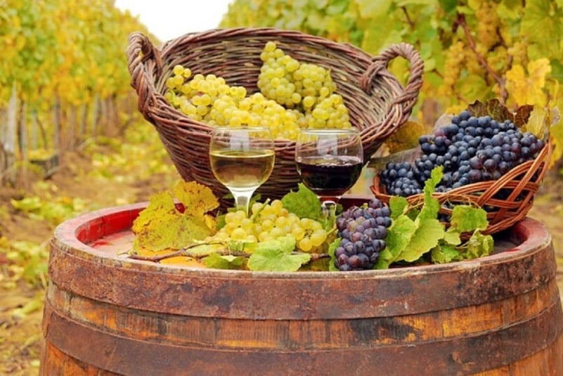 Succes semnificativ pentru vinurile românești: Comisia Europeană protejează 'Jidvei' ca denumire de origine
05:40
537