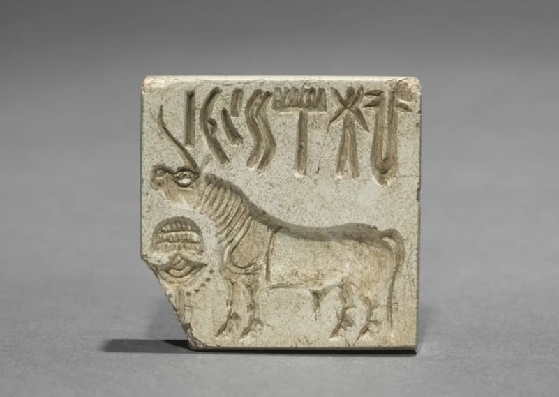 Recompensă uriașă pentru cine poate dezlega un cod antic. Cine câștigă provocarea primește un milion de dolari
00:11
2202