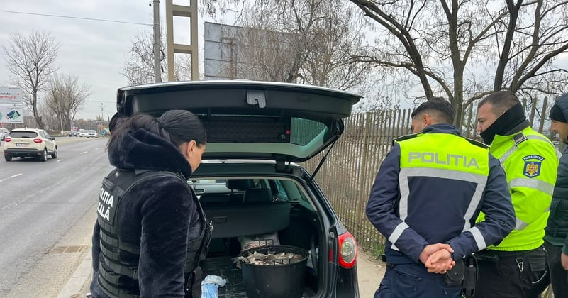 Cum a „salvat” Poliția Locală din Capitală zeci de kilograme de pește recoltate din Lacul Pantelimon