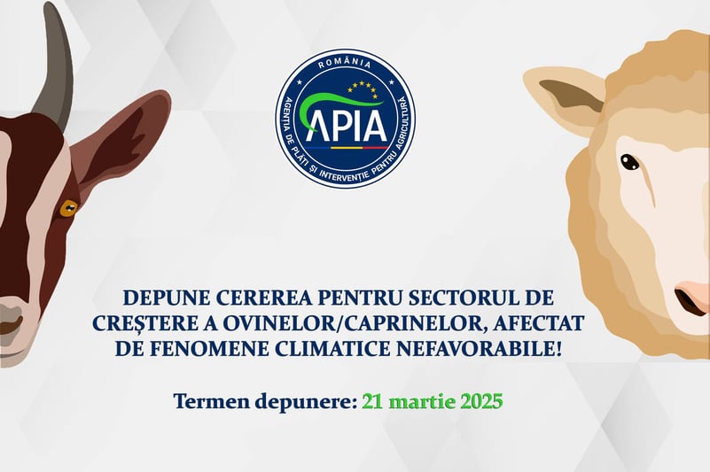 APIA Vrancea „primește cereri pentru sectorul de creștere a ovinelor/caprinelor, afectat de fenomene climatice nefavorabile”