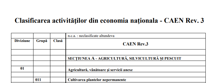 Prelucrarea declarațiilor fiscale nu este condiționată de actualizarea codurilor CAEN