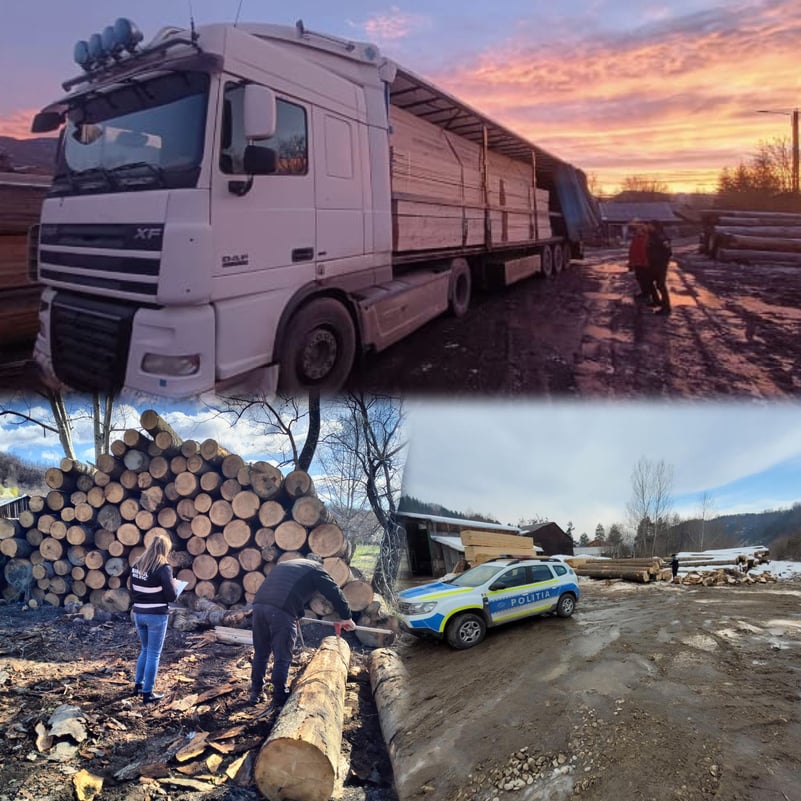 Amenzi în valoare de 39.000 de lei, în urma unei acțiuni vizând protejarea fondului forestier în Vrancea