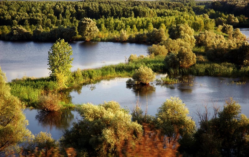 Când au fost prima oară temperaturi de vară în timpul iernii, în România