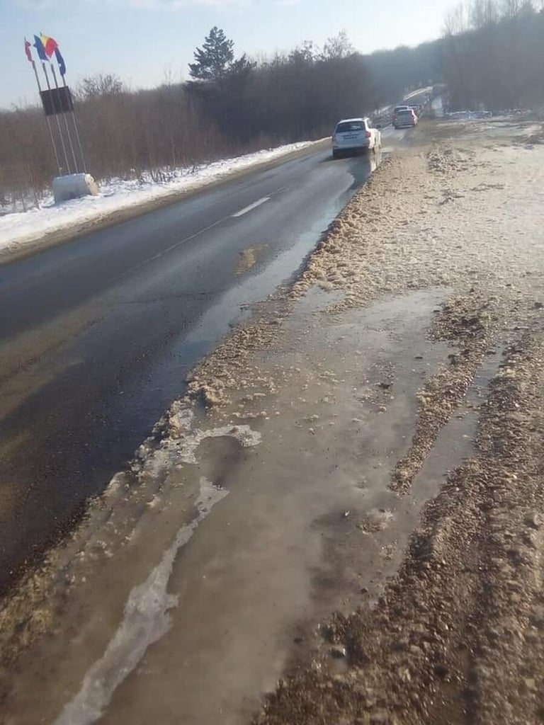 Poleiul crează probleme în Gorj