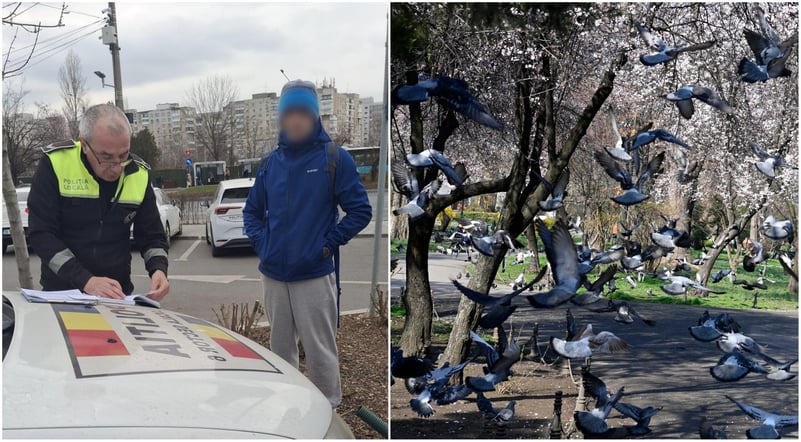„Delete și block, nu stăm la discuții!” 😉 Un bărbat din Sectorul 6 a luat 6.500 lei amendă pentru că a hrănit porumbei, l-a înjurat pe polițist și a fugit
