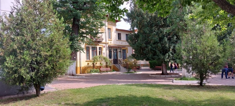 Formular dedicat părinților ai căror copii doresc să se înscrie la Liceul de Arte „Bălașa Doamna” din Târgoviște, în clasa a V-a