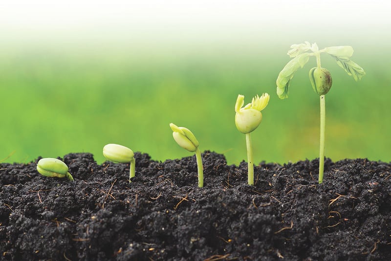 Agricultura pe înțelesul tuturor – Cum să ne protejăm ecologic grădina, casa și gospodăria