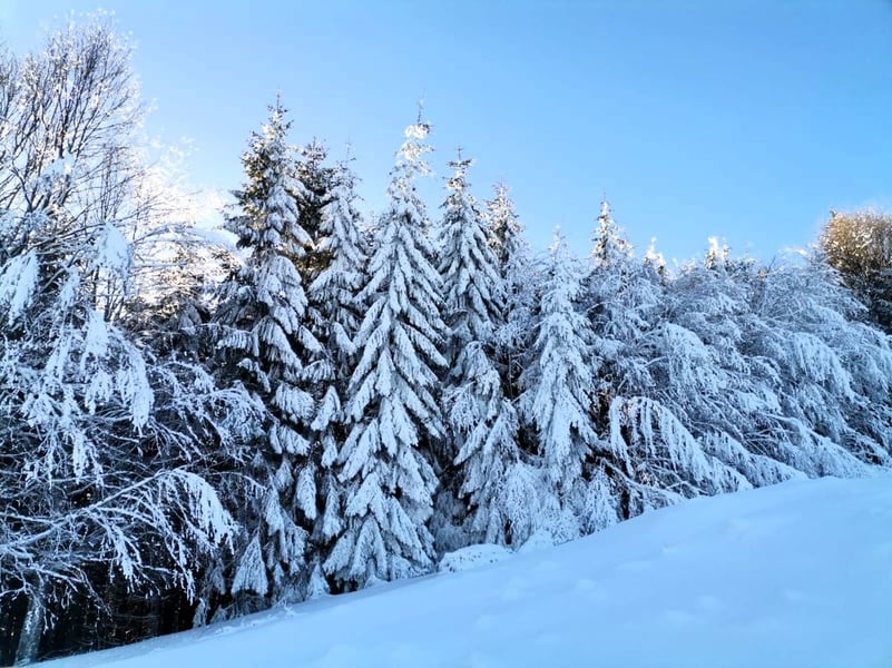 Meteo: vremea de iarnă se menține până spre finalul lunii februarie