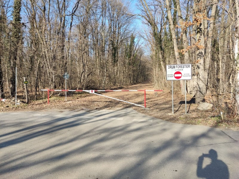 EXCLUSIV Mașinile și-ar putea croi din nou drum prin Pădurea Băneasa. Drum forestier, amenajat în secret de Romsilva cu acces din cartierul Greenfield / Anunțul deschiderii drumului în lungime de 1,5 km a ajuns accidental la organizațiile care apără mediul