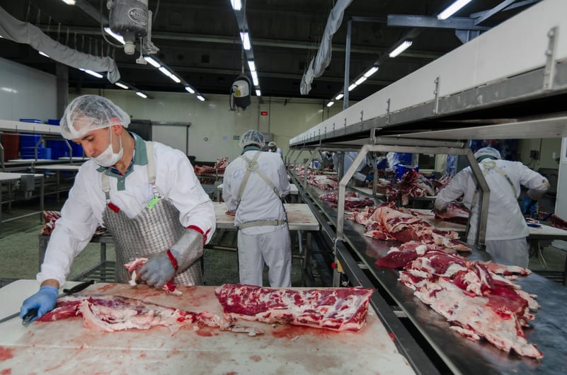 România poate deveni, prin investiții masive, lider în procesarea alimentelor în sud-estul Europei