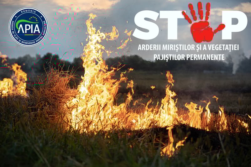 Atenție! Fermierii care incendiază miriștile pierd subvenția de la APIA