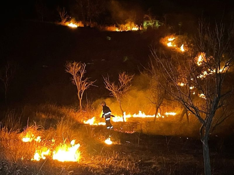 Incendiu de vegetație la Dumitrești, pe 160 de hectare