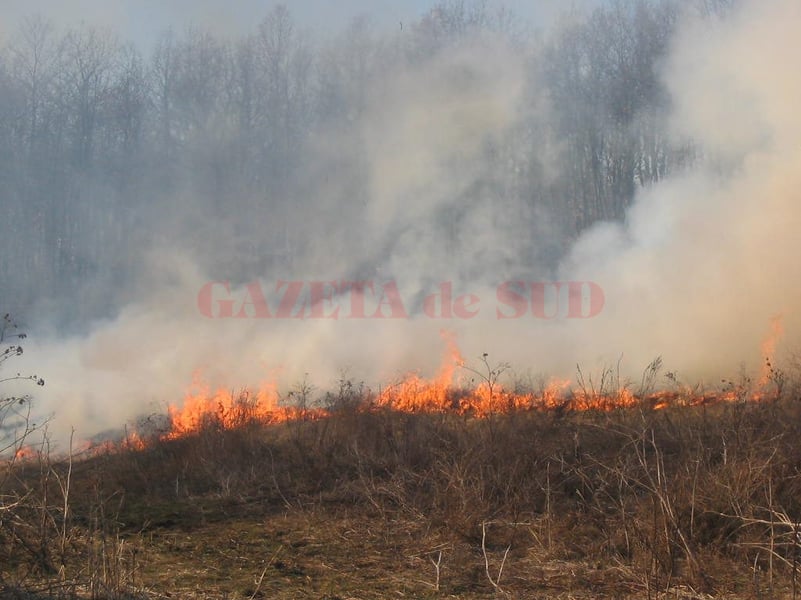 Gorj: Trei bărbați, amendați cu 25.000 de lei pentru incendierea vegetației uscate