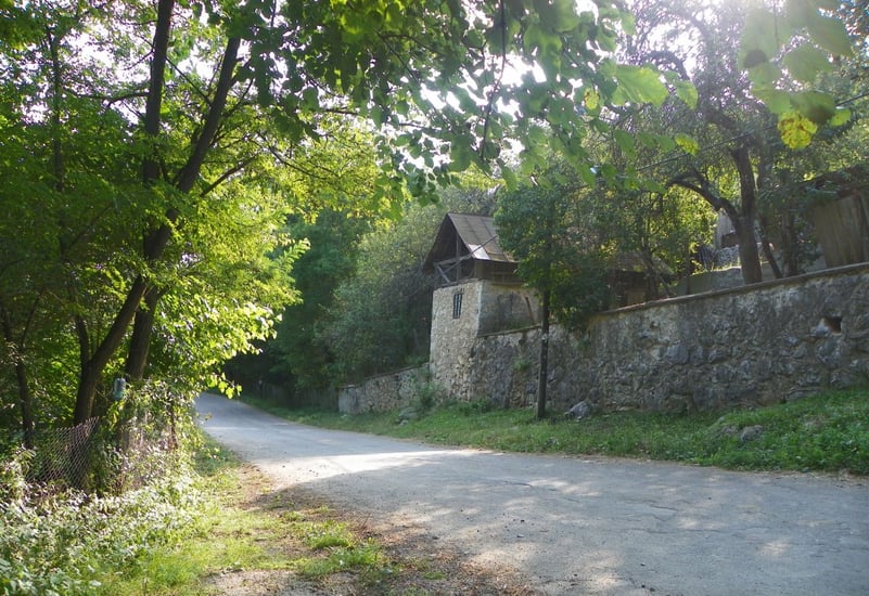 Repere în timp – Luna pădurii – Sărbătoarea sădirii arborilor