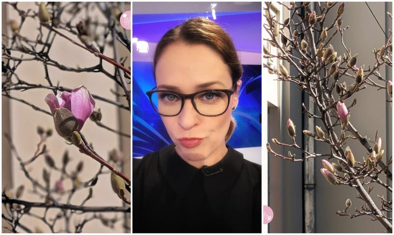 Primăvara în București în 5 proverbe care descriu perfect cum e sezonul la noi în oraș