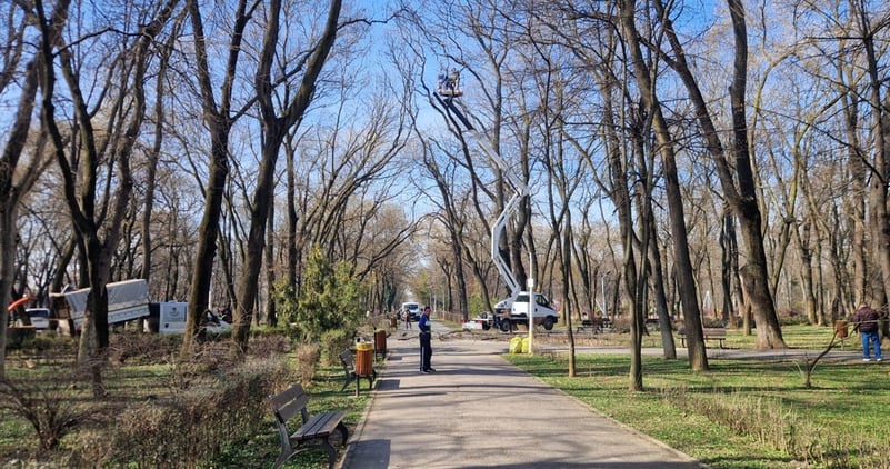 Toaletările copacilor din Parcul Bazilescu, supravegheate de bucureșteni organizați în grupul civic din cartier. PS1: Am obținut avizul PMB pentru 26 de pomi