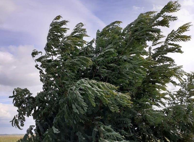 Alertă de vijelii în toată țara