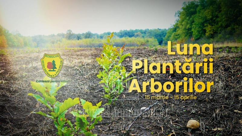 Silvicultorii dâmbovițeni pregătesc o serie de activități pentru a marca Luna Plantării Arborilor