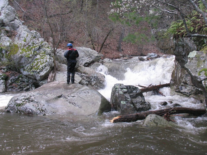8 ft ledge drop..