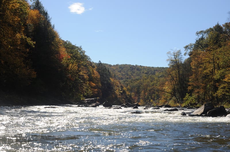 Looking Back Upstream at Eddy Turn