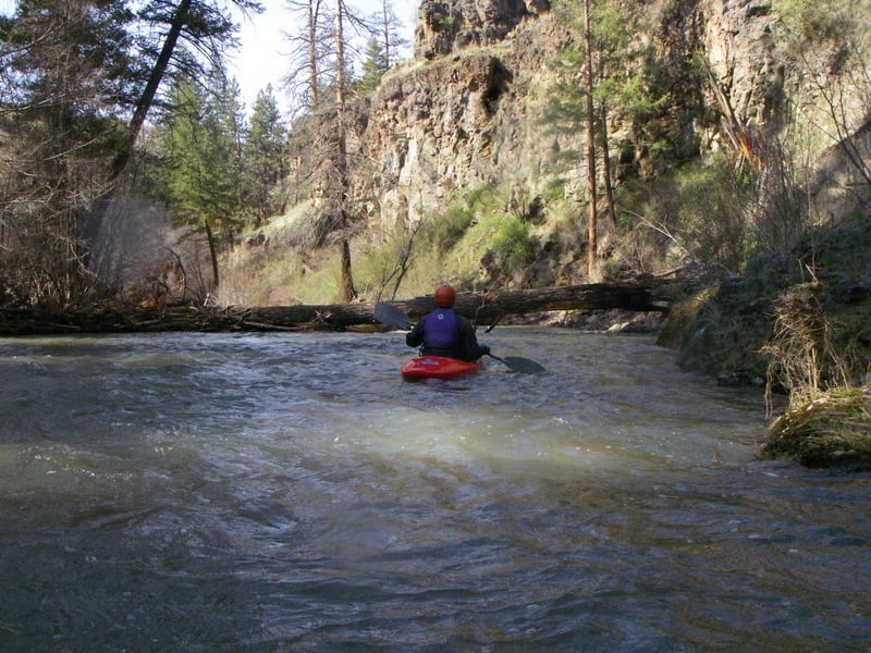 Another Log on Joseph Creek