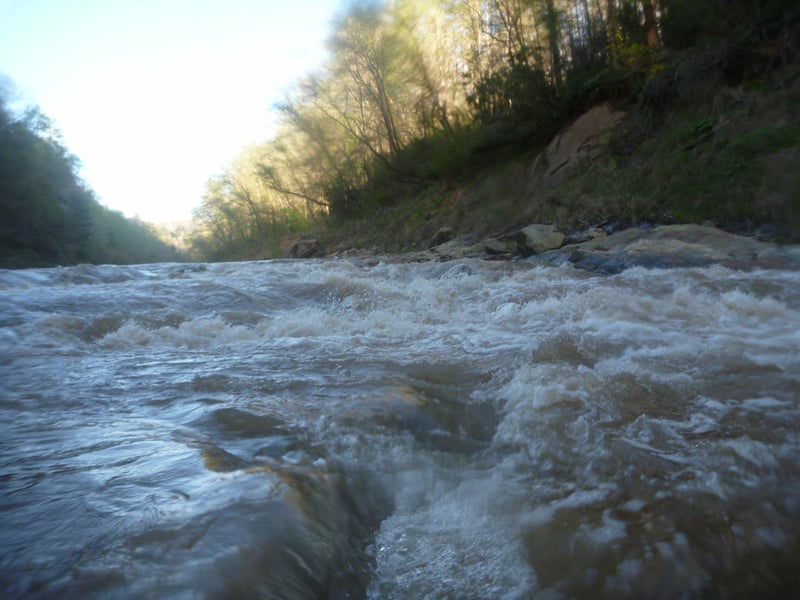Wavetrain #3
