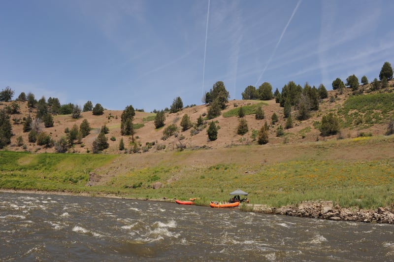 Bureau of Land Management Land Below Jenny Creek