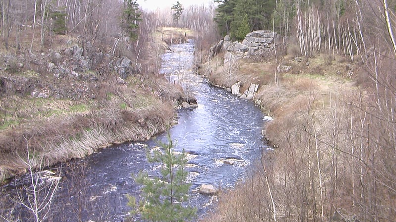 Prairie Dells