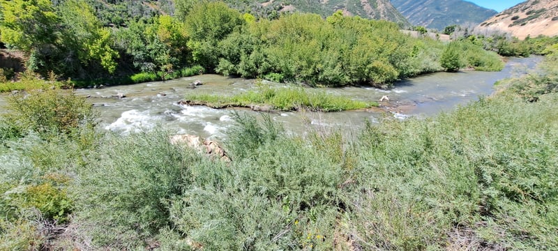 Ilha das Rapids